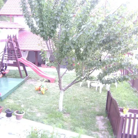 Pensiune Casa Natura Băile Herculane